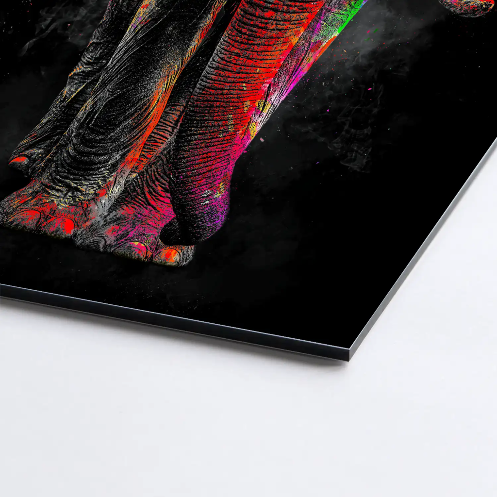Elefant Color Style AluDibond Bild INGALERIE