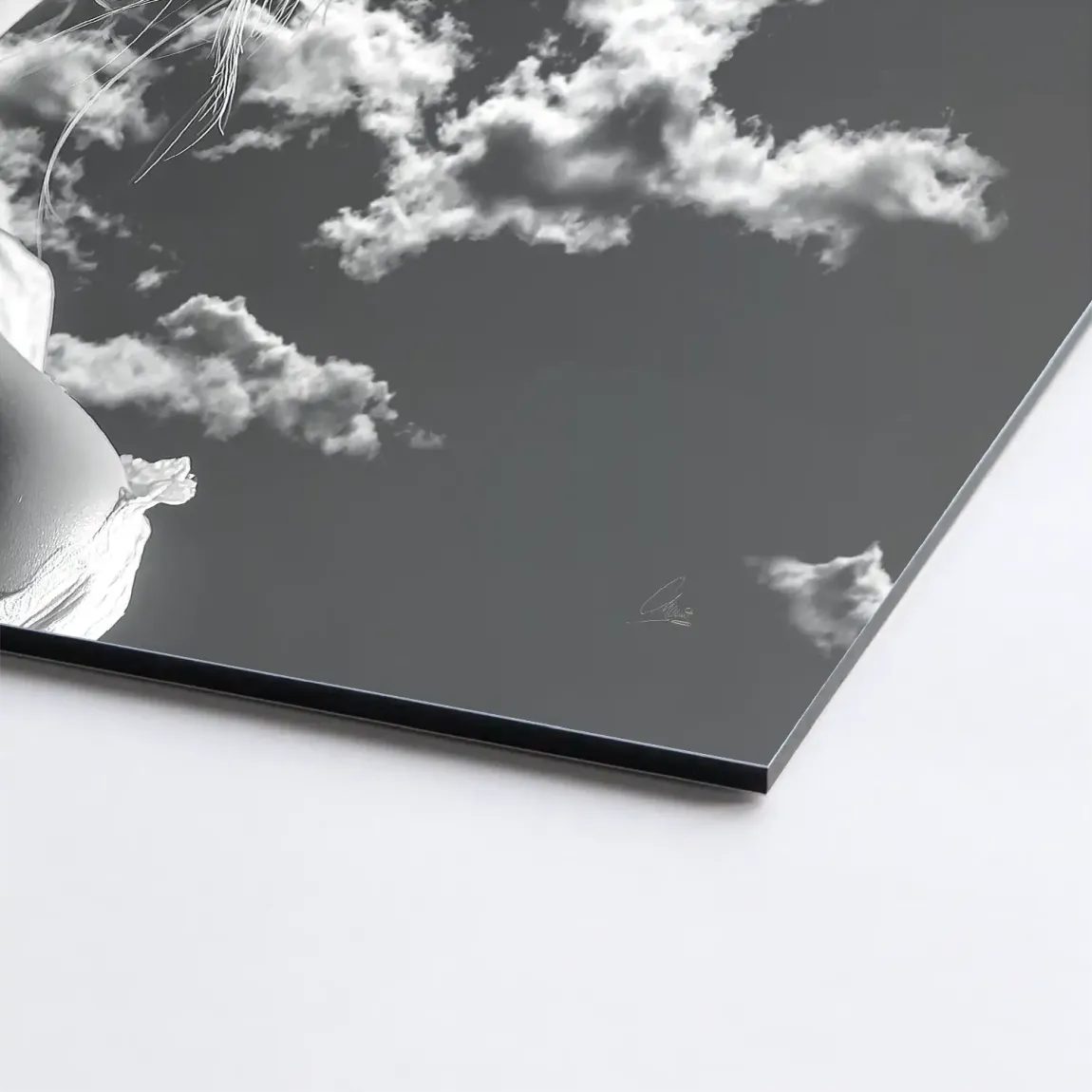 Sky Bloom AluDibond Bild