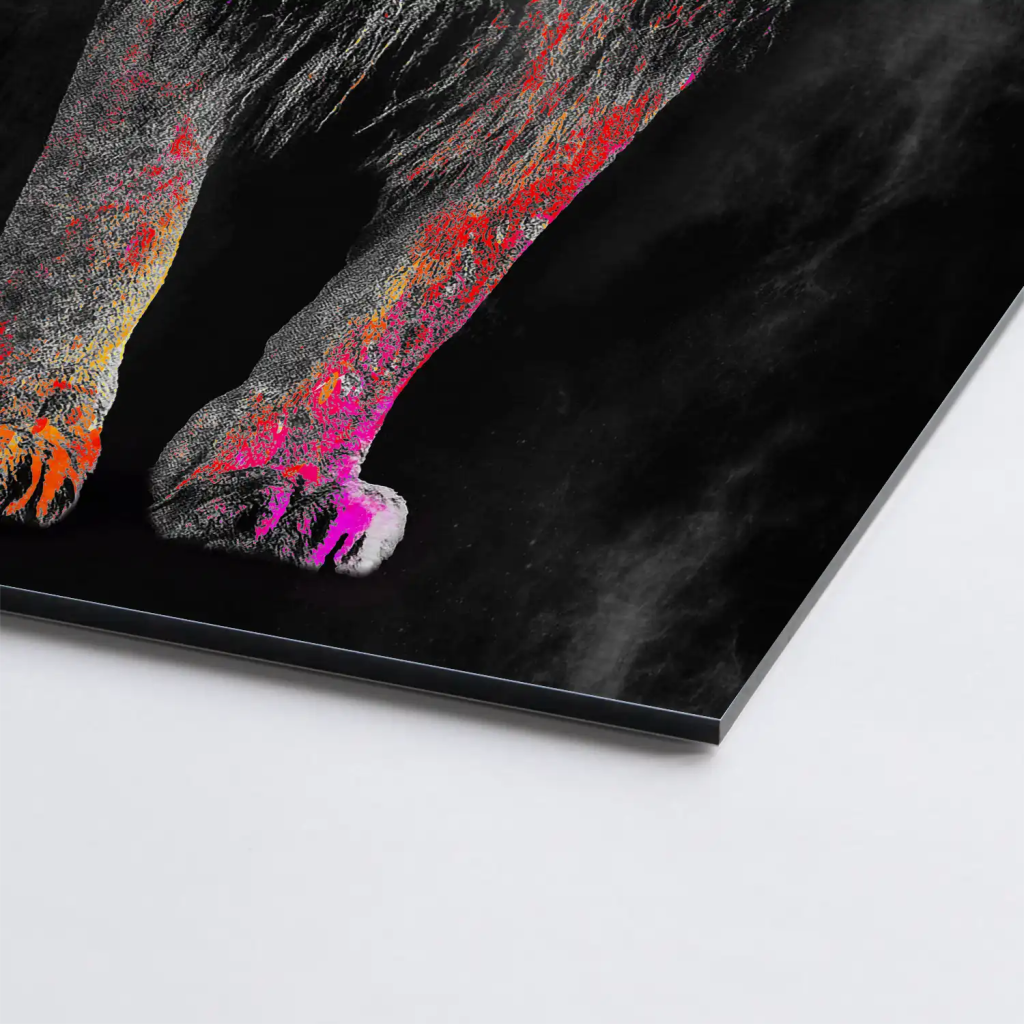 Lion Color Style AluDibond Gebürstet - INGALERIE