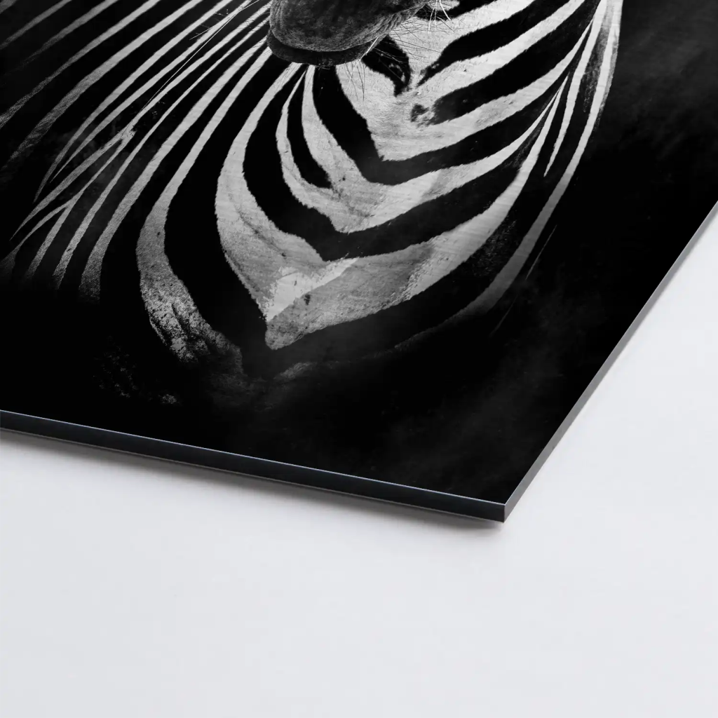 Zebra Black Style AluDibond Gebürstet - INGALERIE