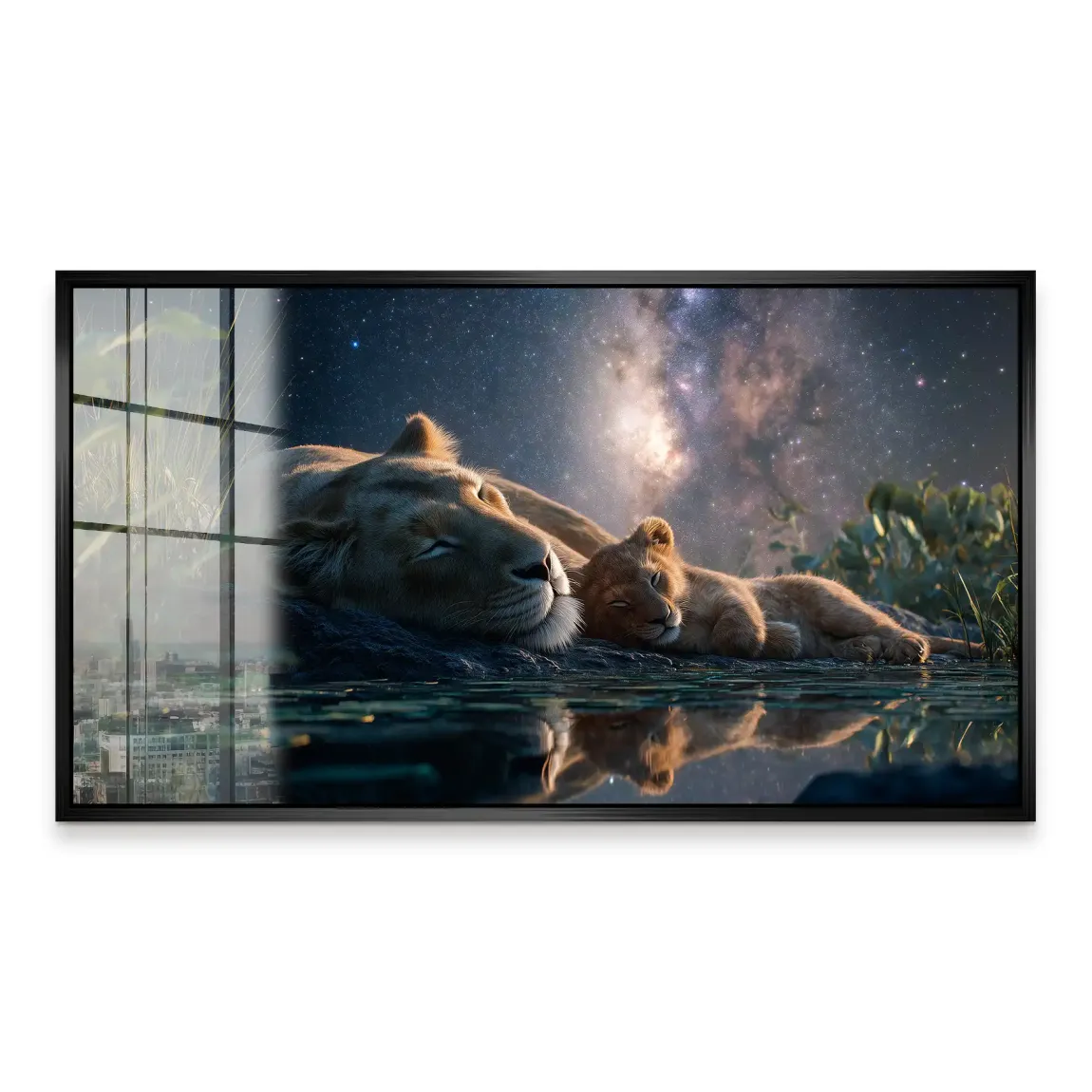 Löwen Serenade Acrylglasbild