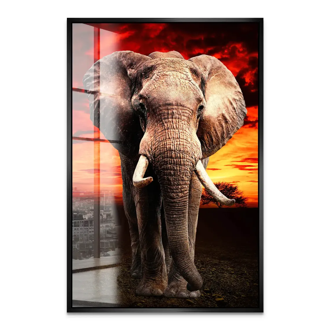 Majestät der Savanne im Abendrot Acrylglas Bild INGALERIE