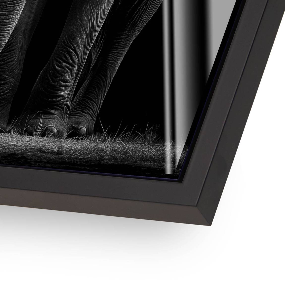 Black Elefant Acrylglasbild
