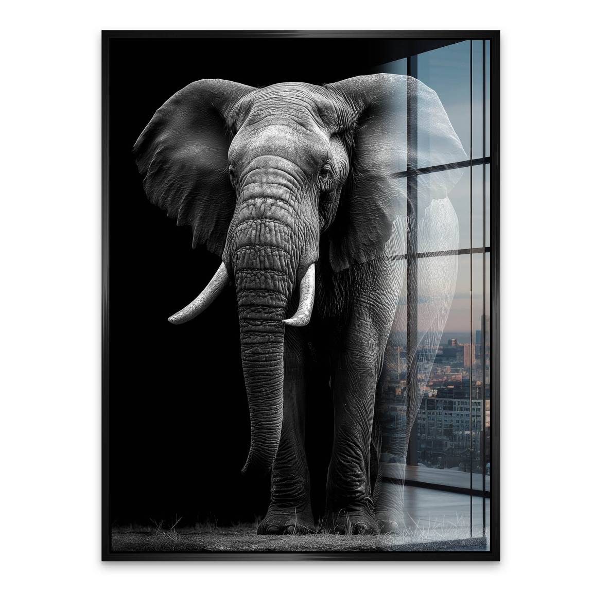 Black Elefant Acrylglasbild