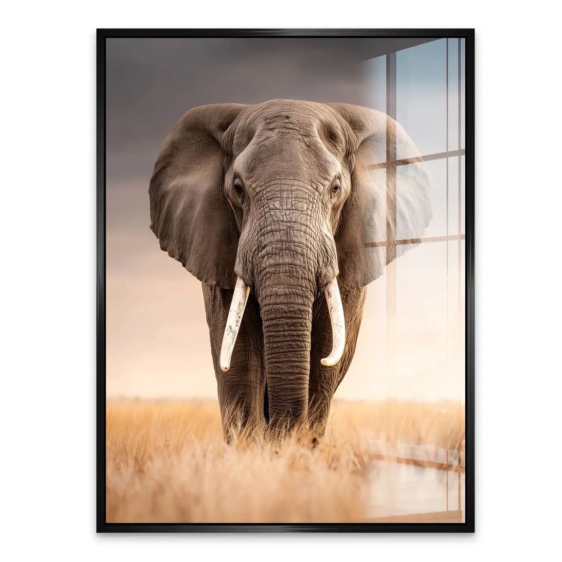 Savanne Elefant Acrylglasbild