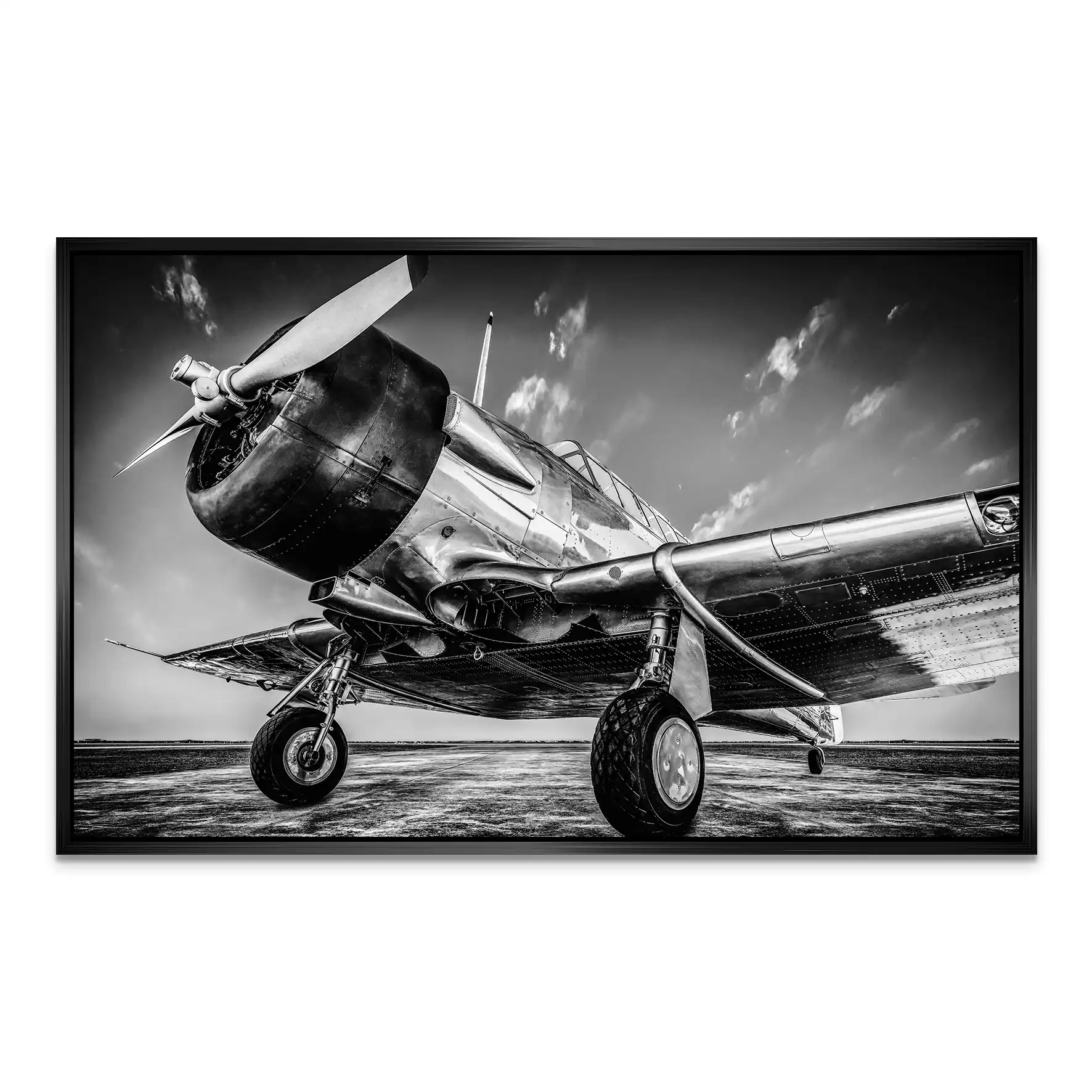 Vintage Proppeller Flugzeug AluDibond Bild INGALERIE