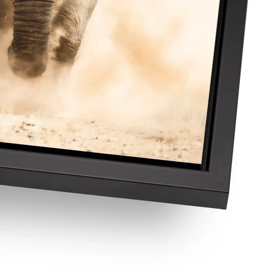 Emperor of the Savannah Alu Dibond Bild INGALERIE