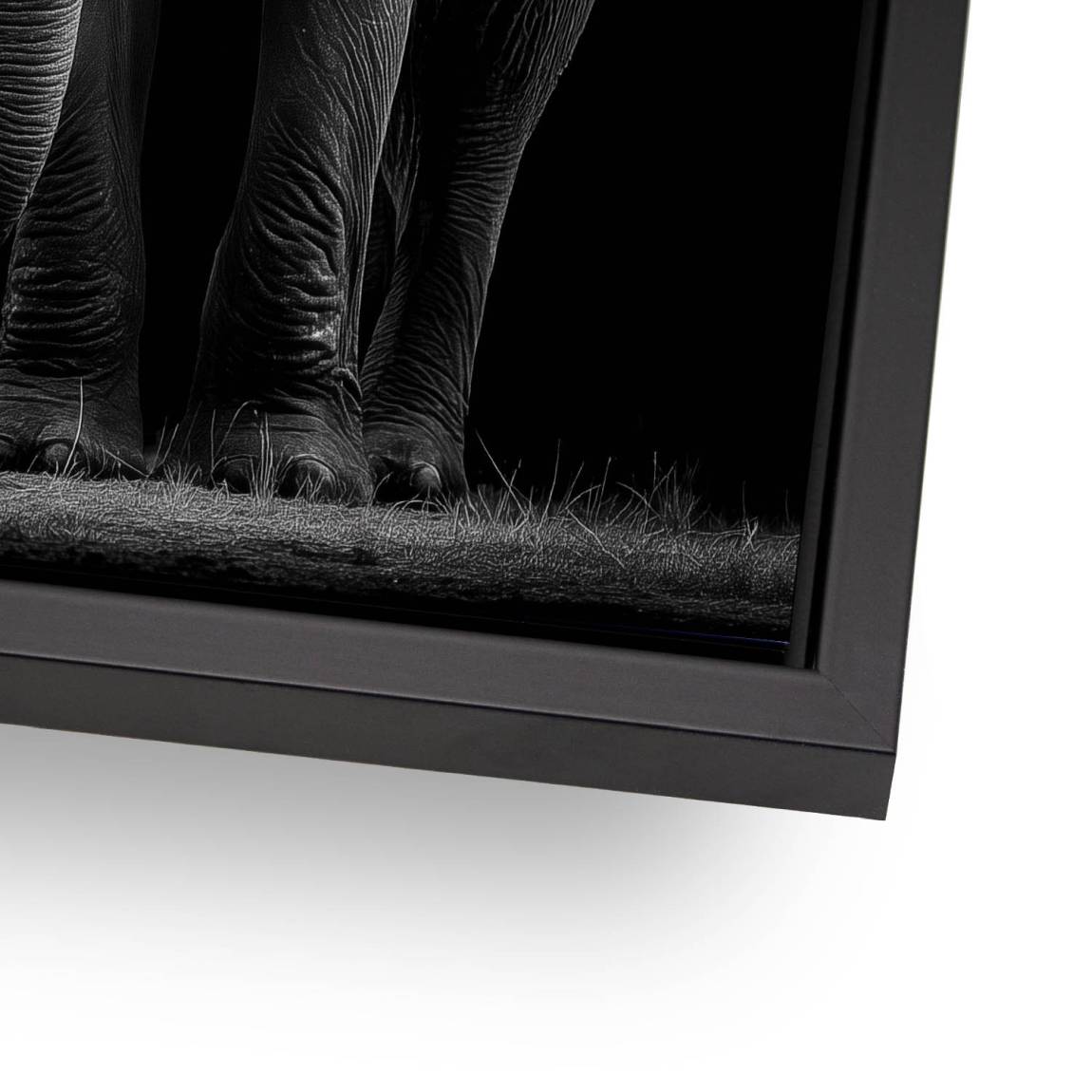 Black Elefant Alu Dibond Wandbild