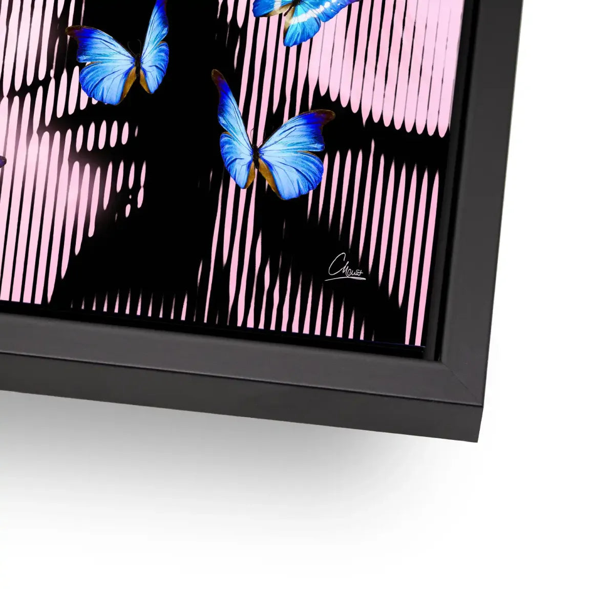Silent Butterfly Alu Dibond Bild INGALERIE