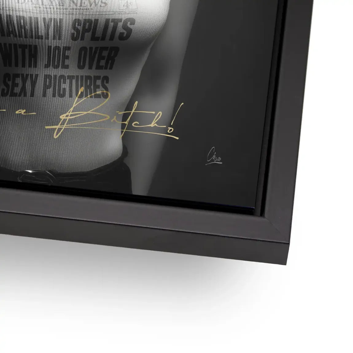 Marilyn Skandal Alu Dibond Bild