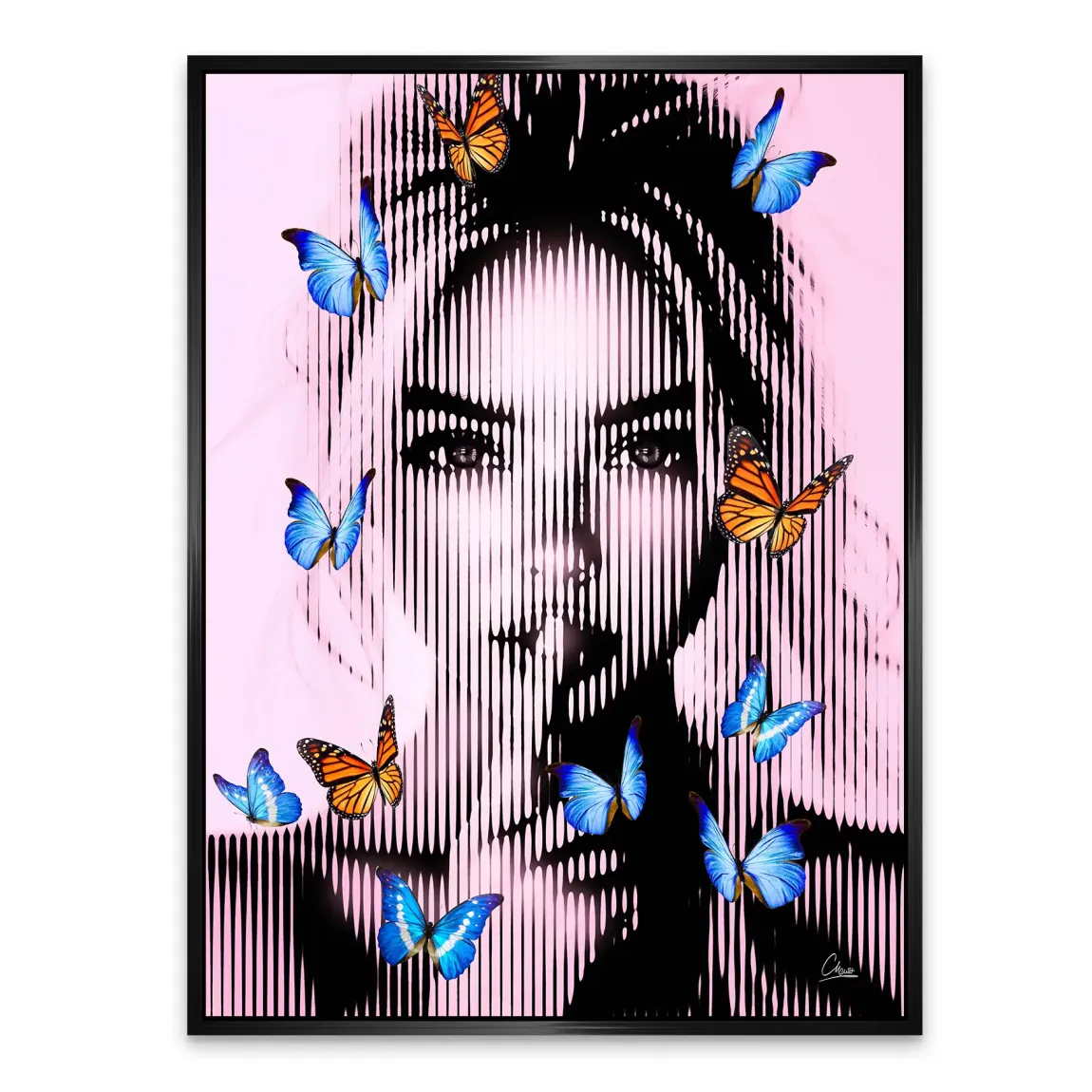 Silent Butterfly Alu Dibond Bild INGALERIE
