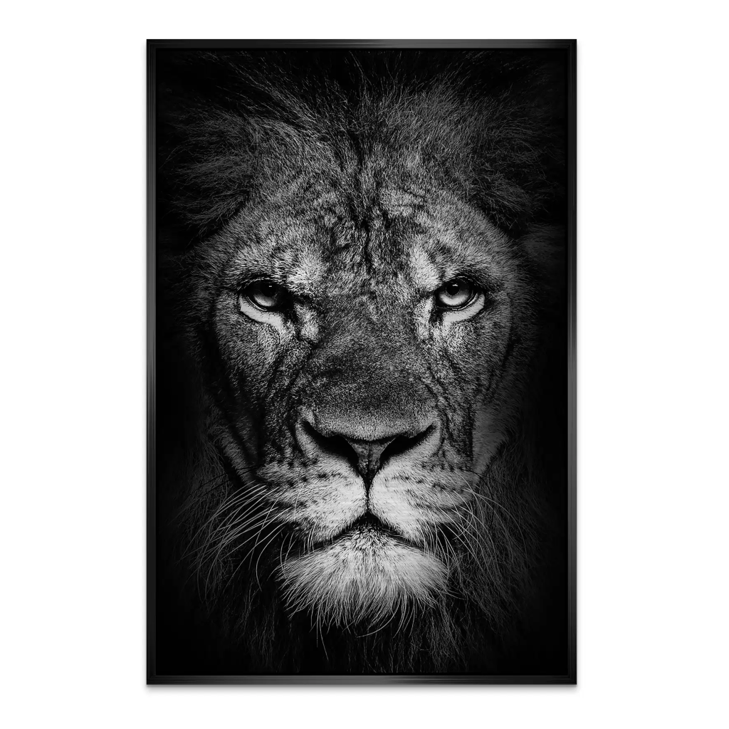 Lion Head AluDibond Gebürstet INGALERIE