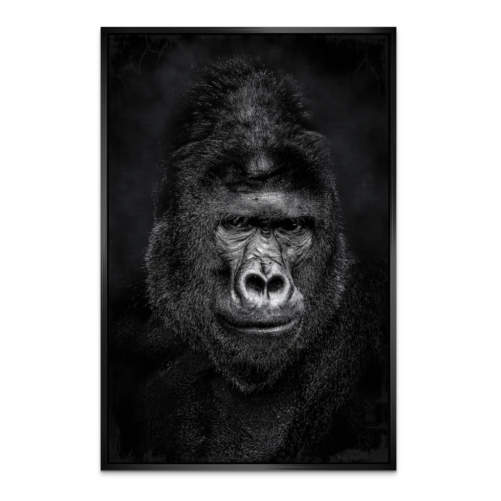 Gorilla Abstrakt Black Style AluDibond Gebürstet INGALERIE