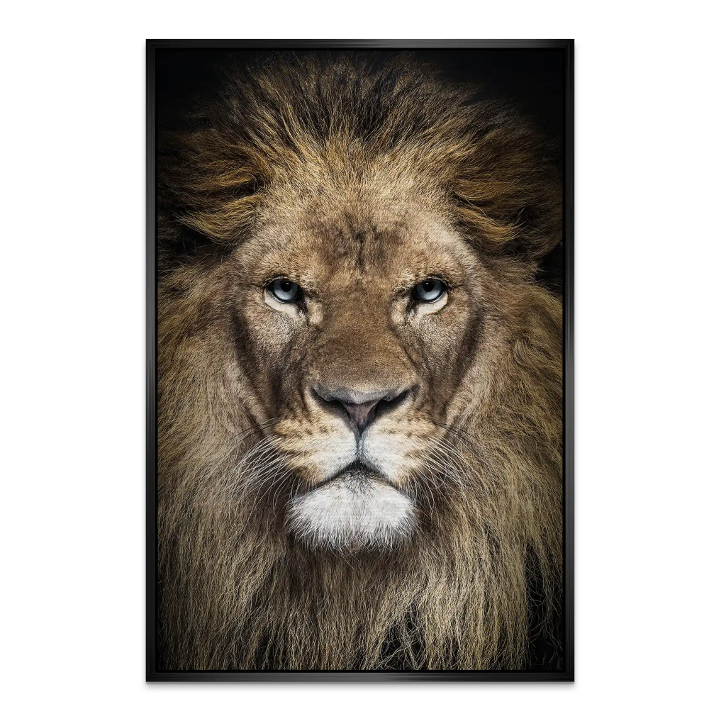 Lion Portrait AluDibond Gebürstet INGALERIE