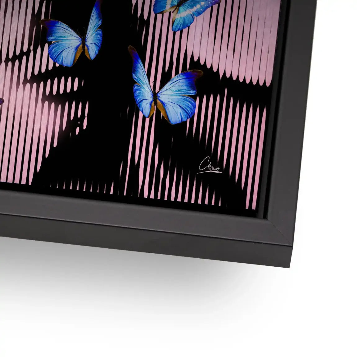 Silent Butterfly Aludibond Gebürstet INGALERIE
