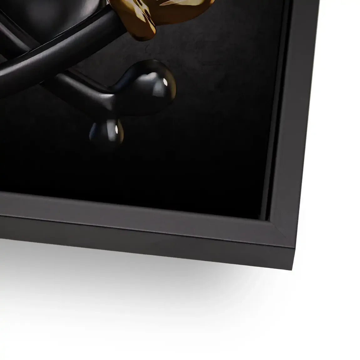 Dollar Vision Duck Alu Gebürstet Bild