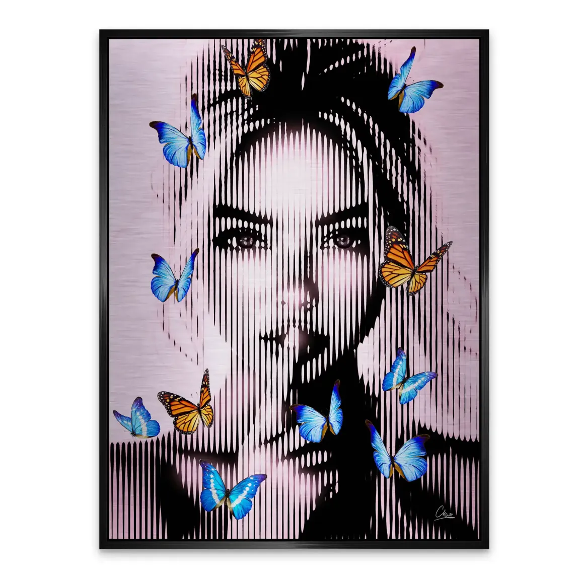 Silent Butterfly Aludibond Gebürstet INGALERIE