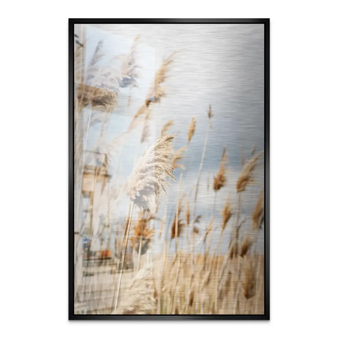 Whispering Reeds Alu Dibond Bild gebürstet - INGALERIE | Dein Onlineshop für moderne Wandbilder