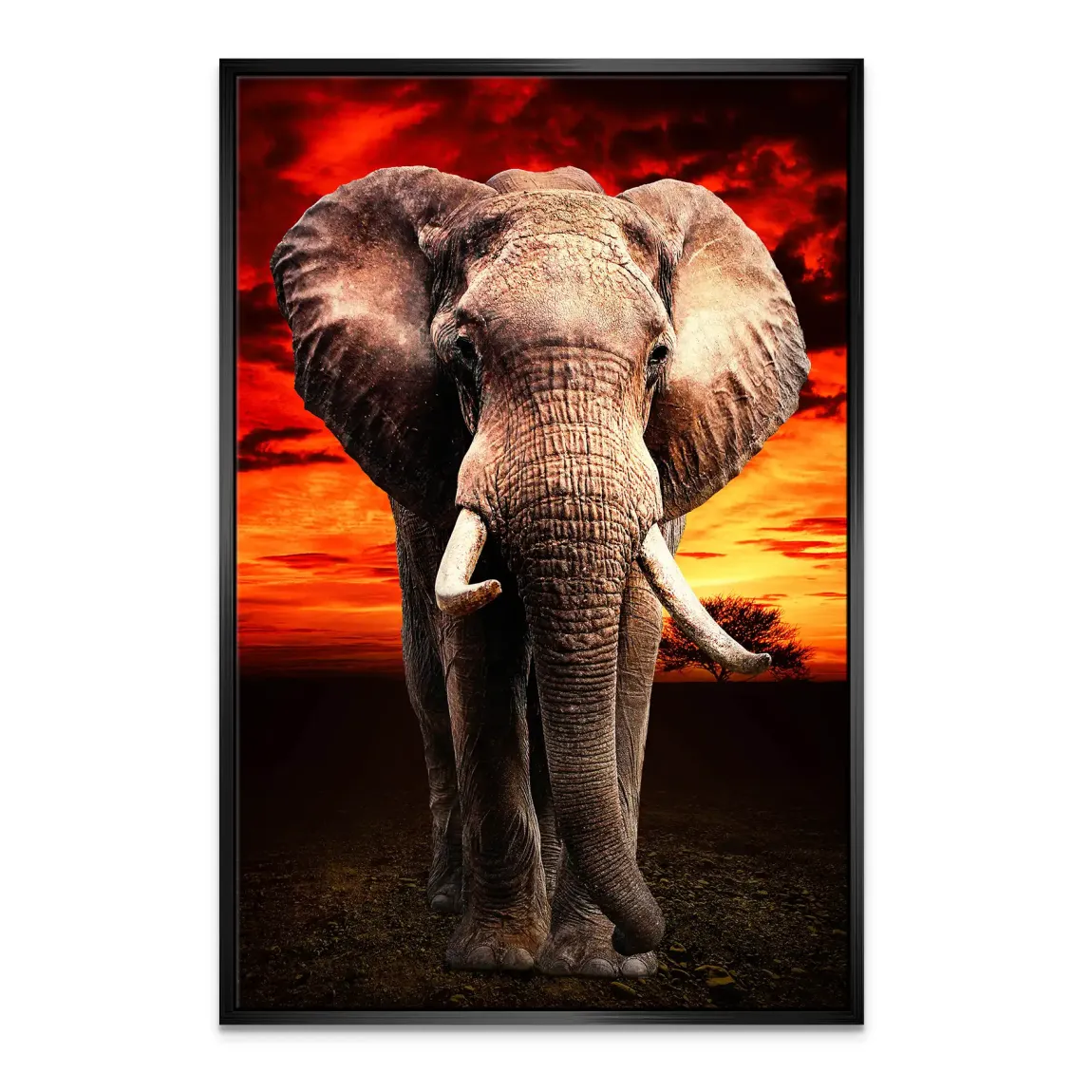 Majestät der Savanne im Abendrot Leinwand Bild INGALERIE