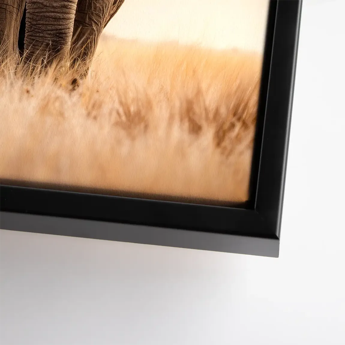 Savanne Elefant Leinwand Bild