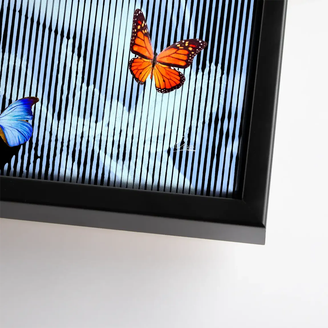 Flüstern der Schmetterlinge Leinwand Bild INGALERIE