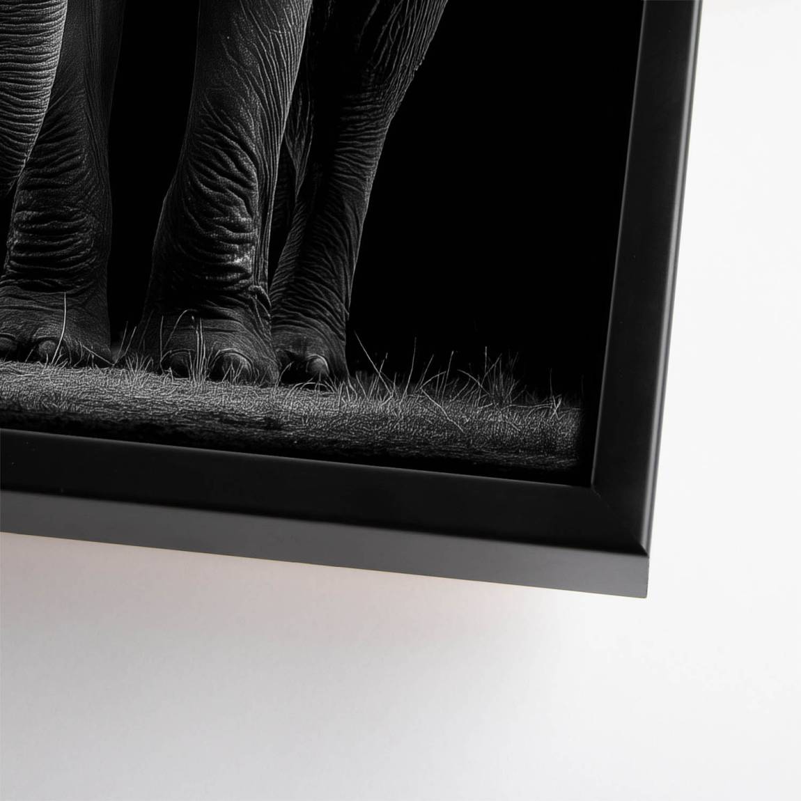 Black Elefant Leinwand Bild