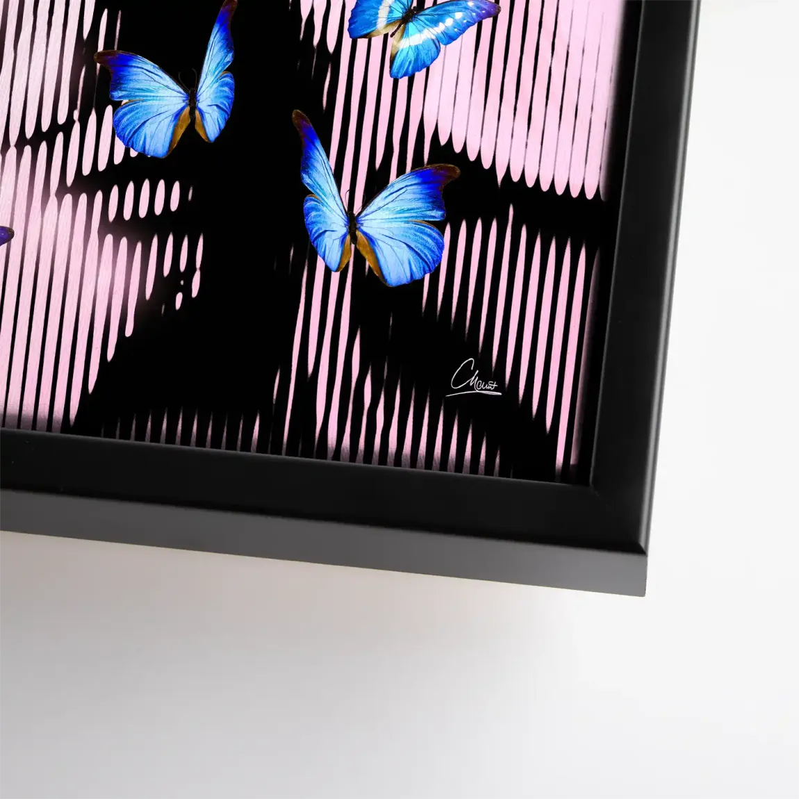 Silent Butterfly Leinwand Bild INGALERIE