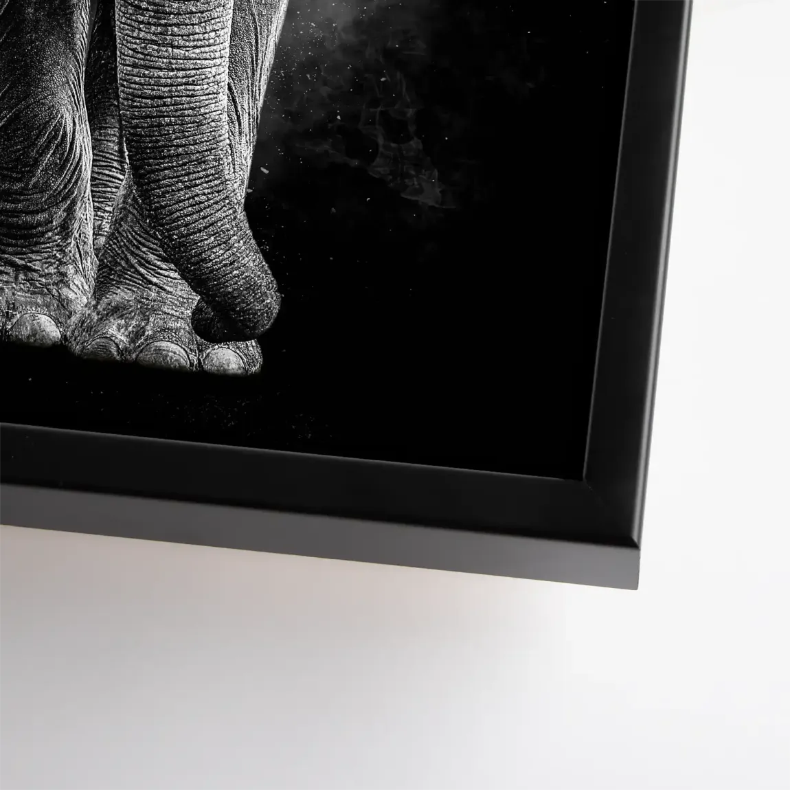 Elefant Noir Leinwand Bild
