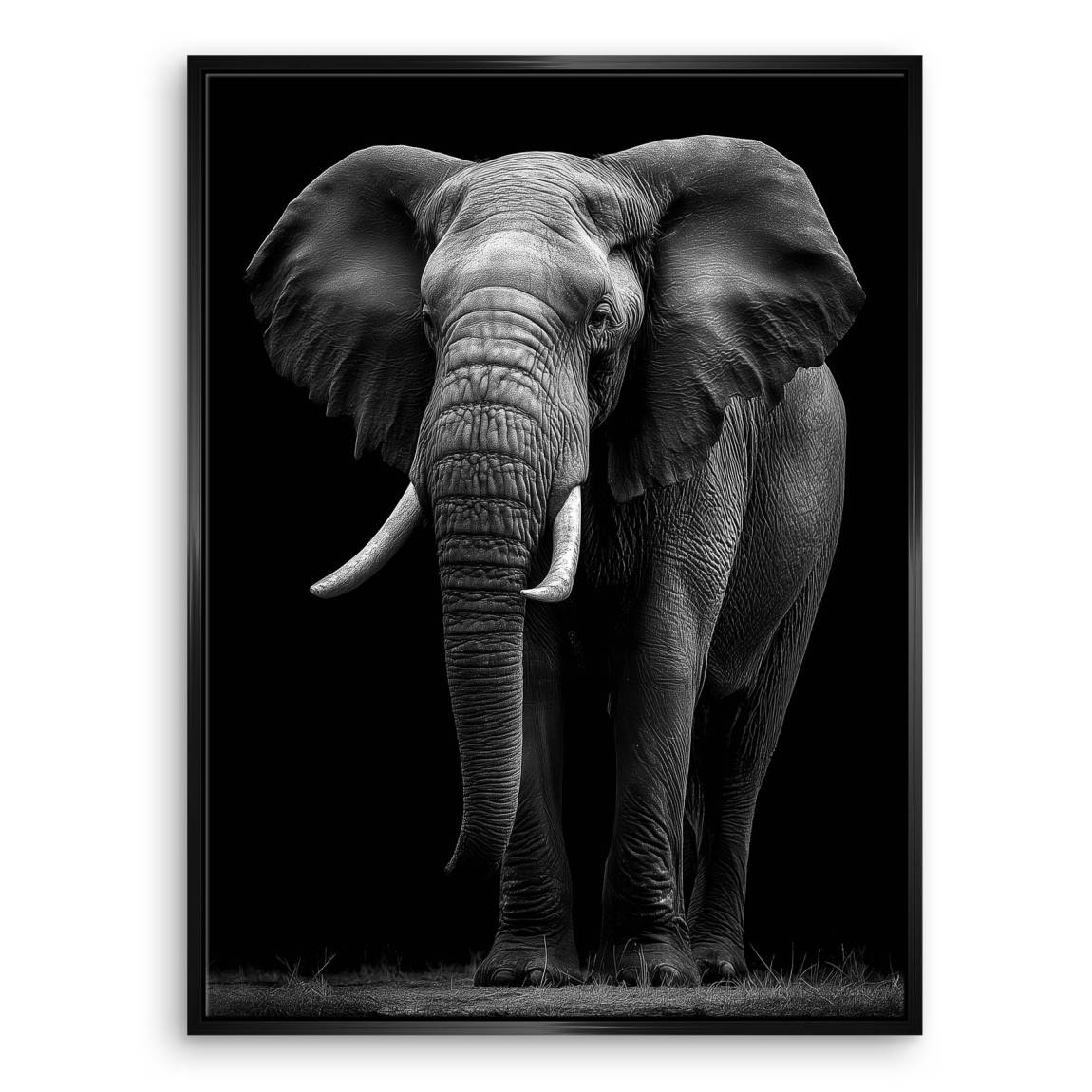 Black Elefant Leinwand Bild