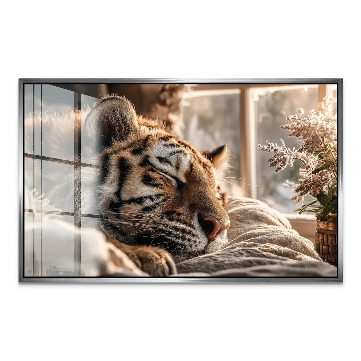 Schlafender Tiger Acrylglasbild