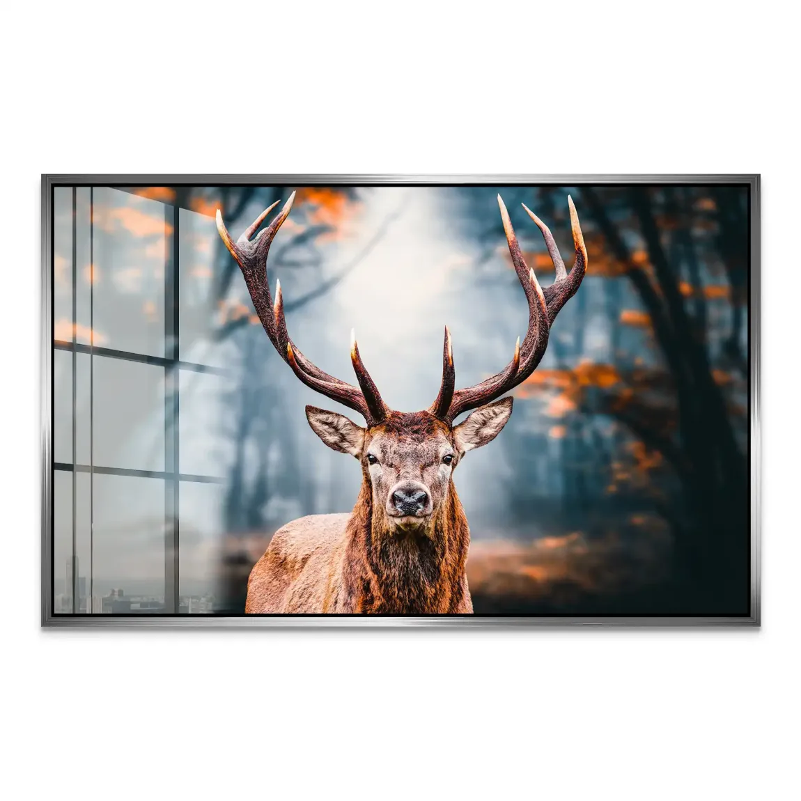 Hirsch im Wald Acrylglasbild