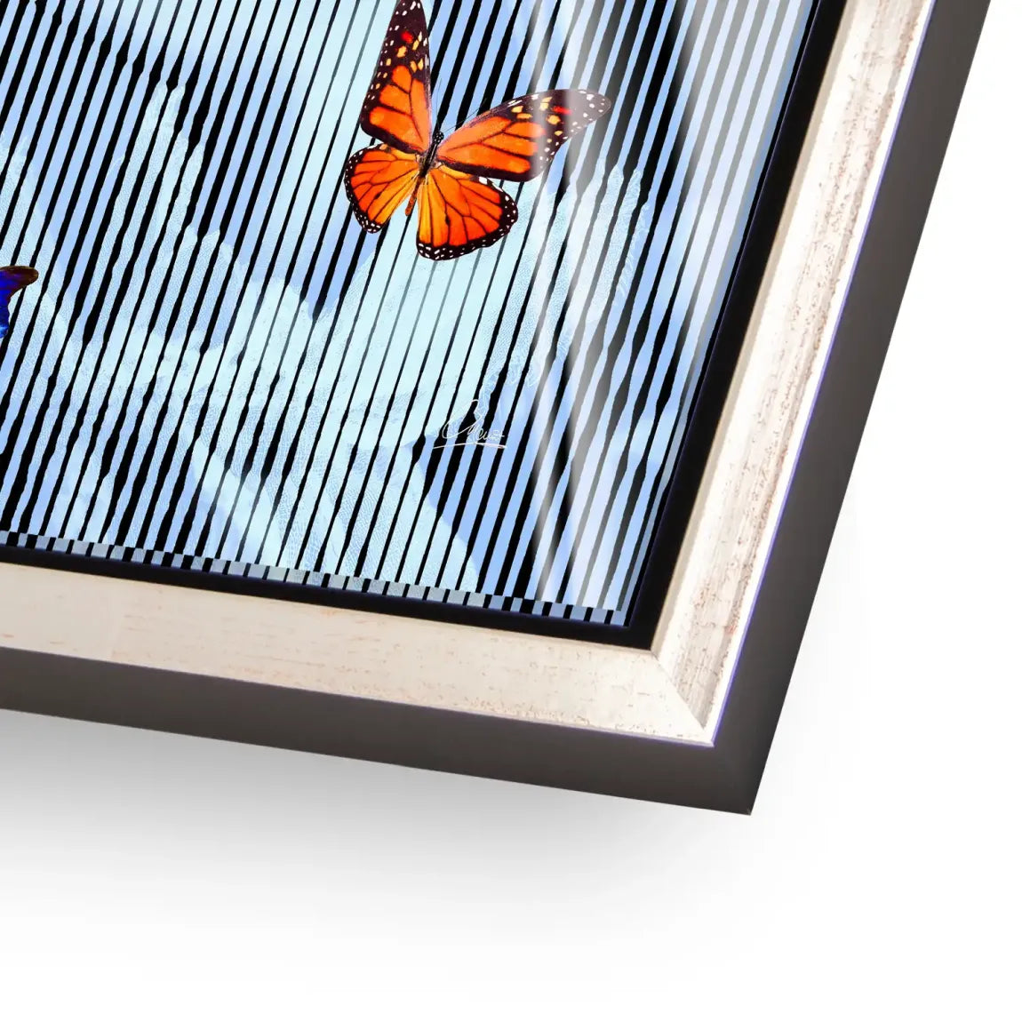 Flüstern der Schmetterlinge Acrylglasbild INGALERIE