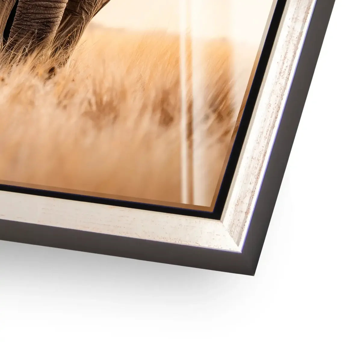 Savanne Elefant Acrylglasbild
