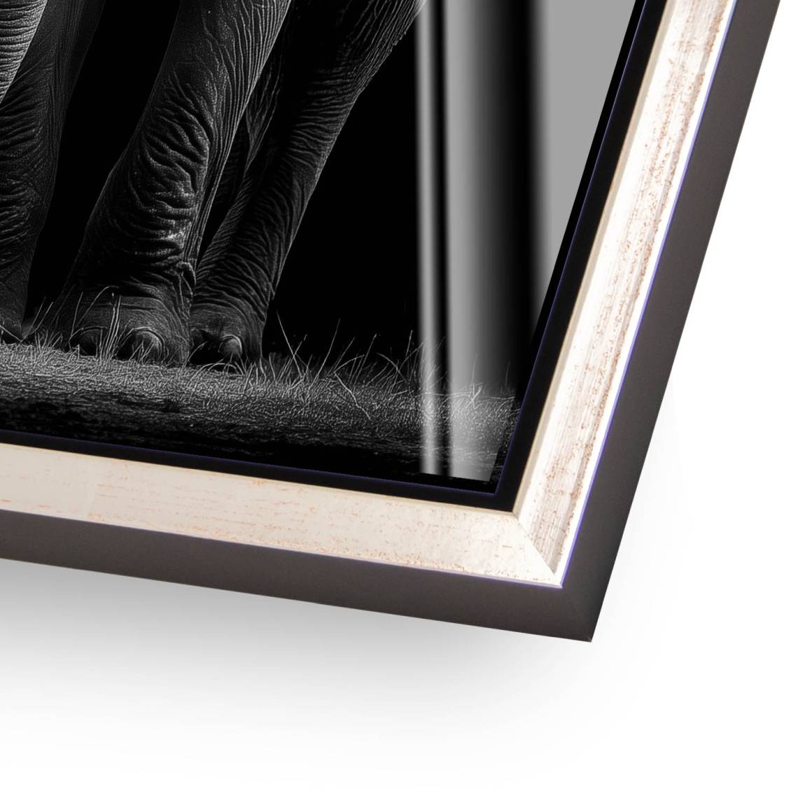 Black Elefant Acrylglasbild