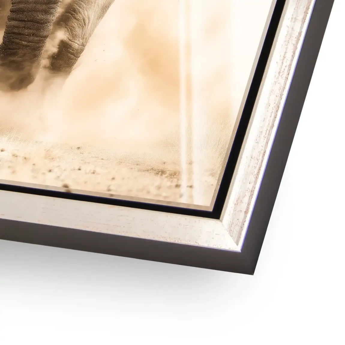 Emperor of the Savannah Acrylglasbild INGALERIE