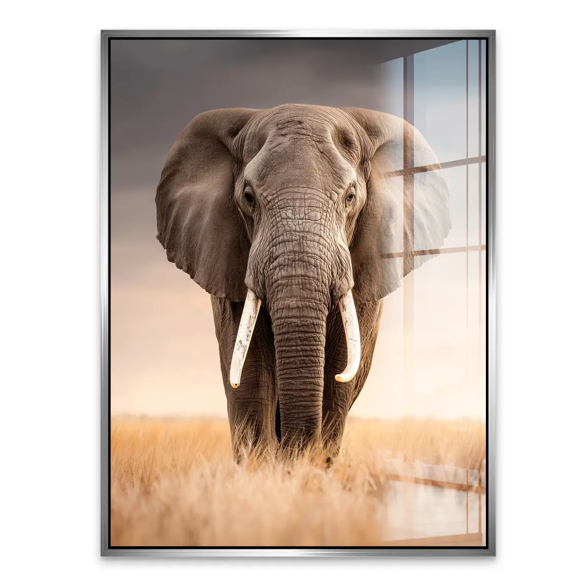 Savanne Elefant Acrylglasbild