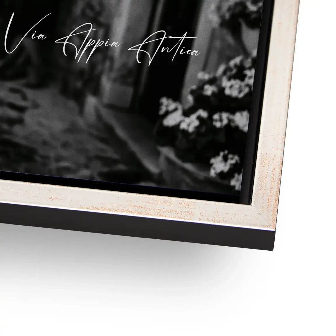 Sophia Loren Roma Alu Dibond Wandbild