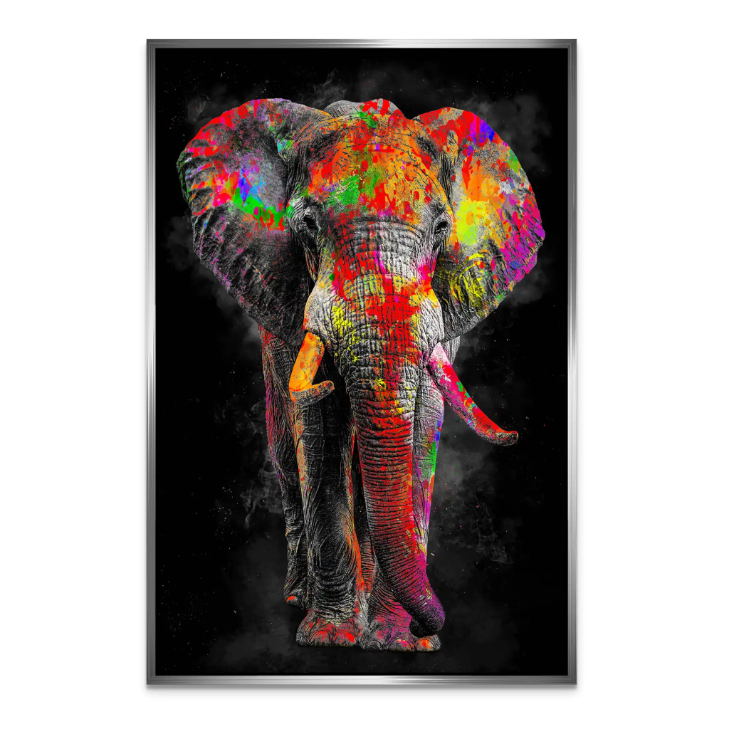 Elefant Color Style AluDibond Bild INGALERIE