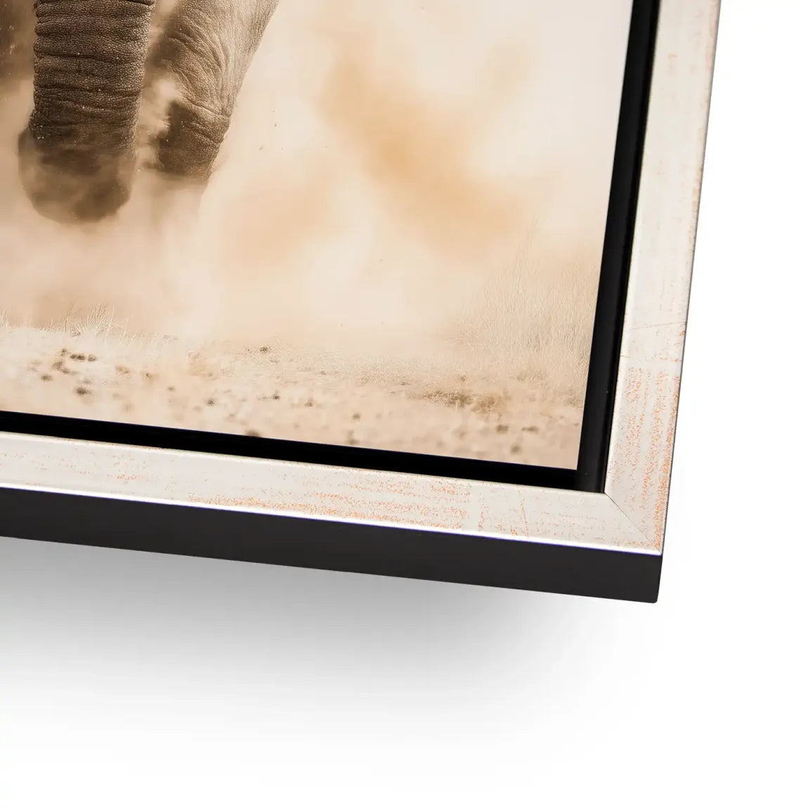Emperor of the Savannah Alu Dibond Bild INGALERIE