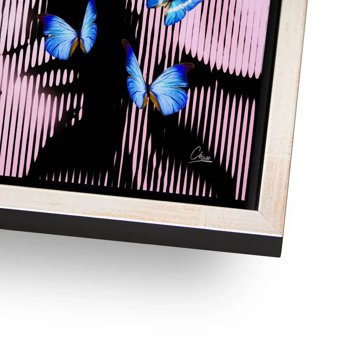 Silent Butterfly Alu Dibond Bild INGALERIE