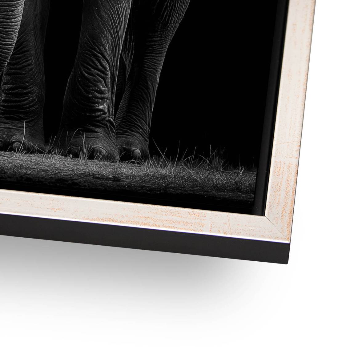 Black Elefant Alu Dibond Wandbild