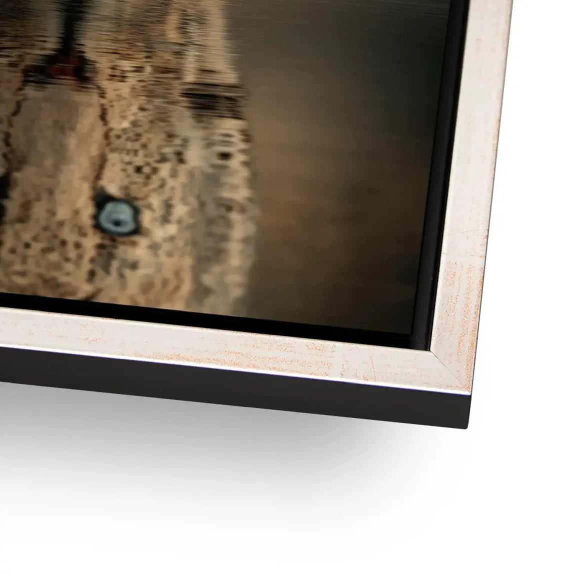 Silent Leopard Alu Dibond Bild