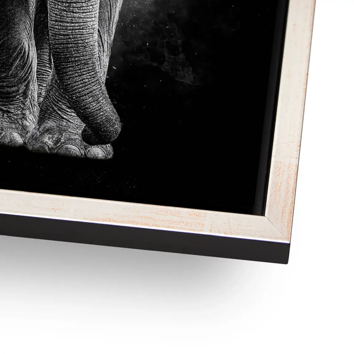 Elefant Noir Alu Dibond Wandbild
