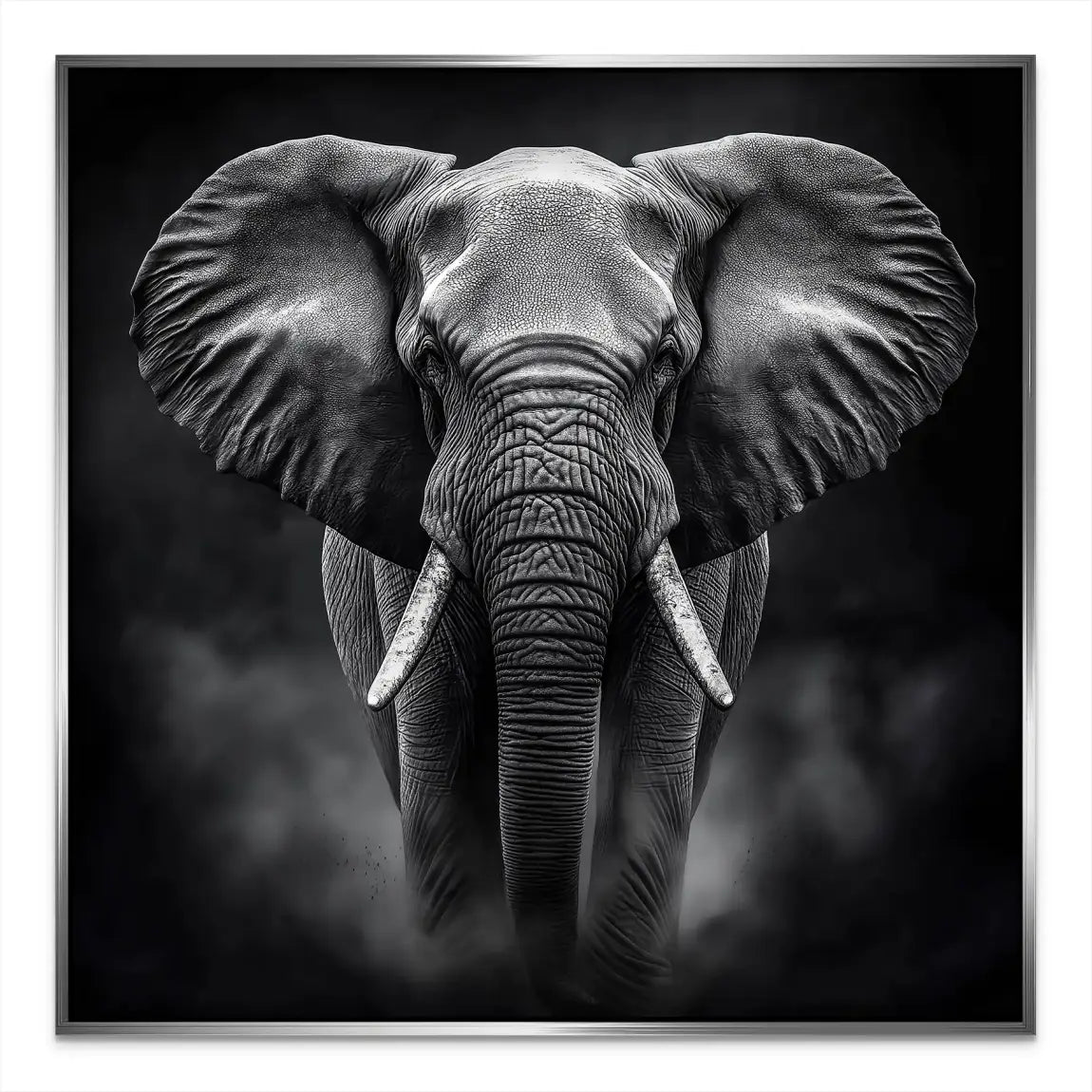 Elefant Black Style AluDibond Bild INGALERIE