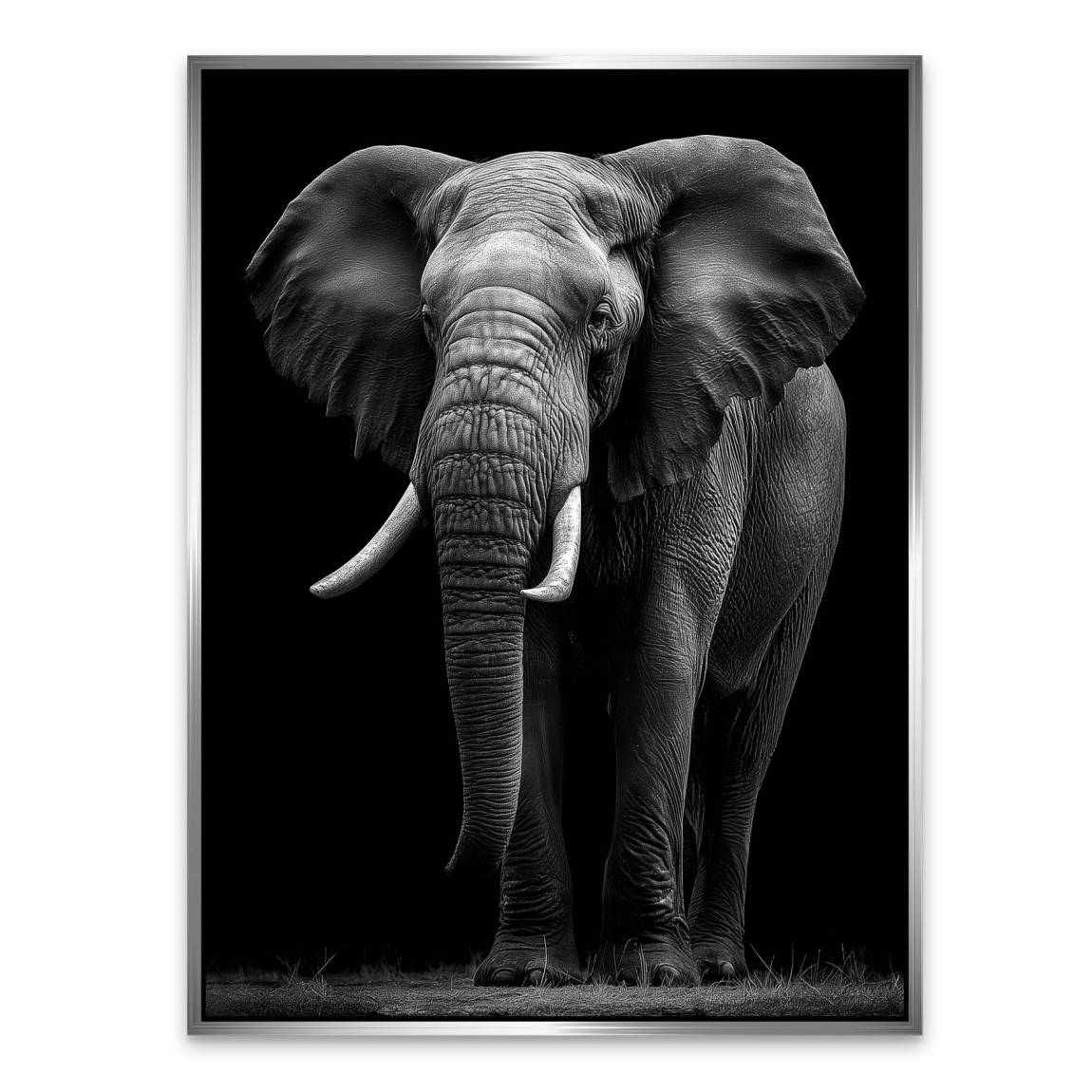 Black Elefant Alu Dibond Wandbild