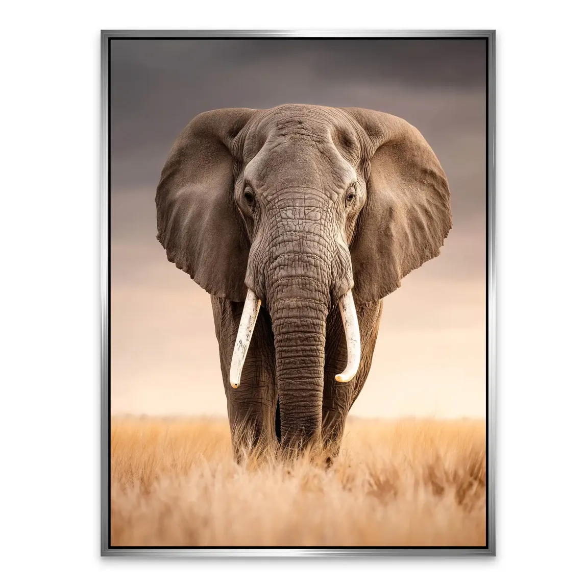 Savanne Elefant Alu Dibond Wandbild
