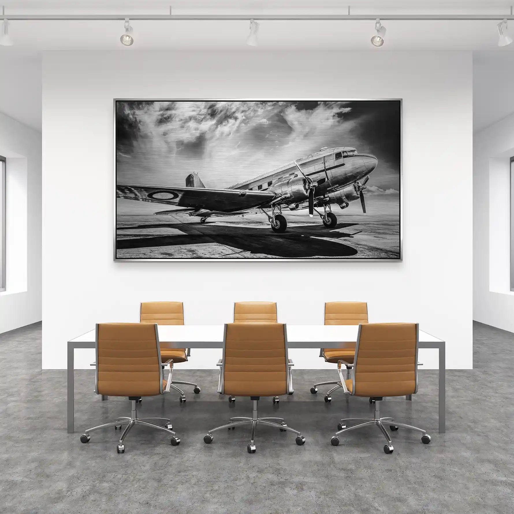 DC3 Vintage Flugzeug Alu Gebürstet INGALERIE