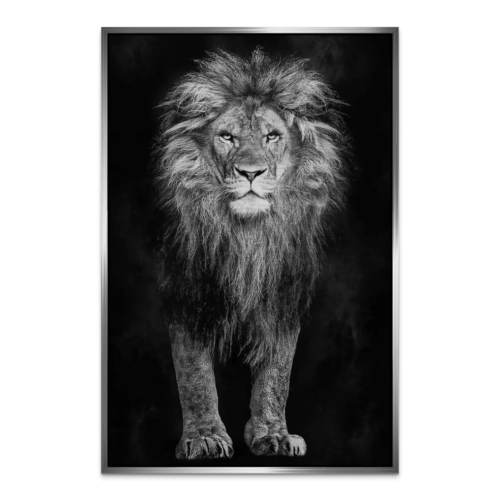 Lion Black Style AluDibond Gebürstet INGALERIE