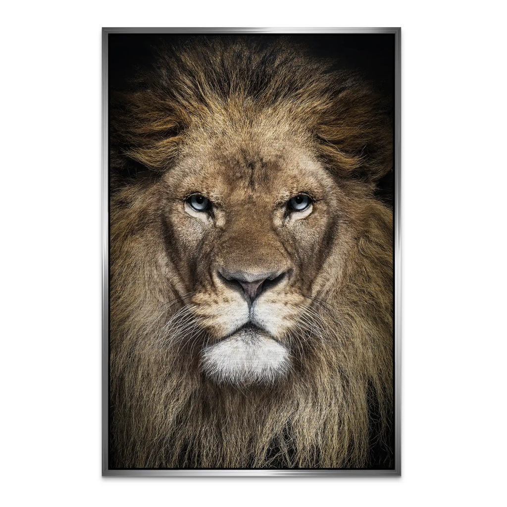 Lion Portrait AluDibond Gebürstet INGALERIE