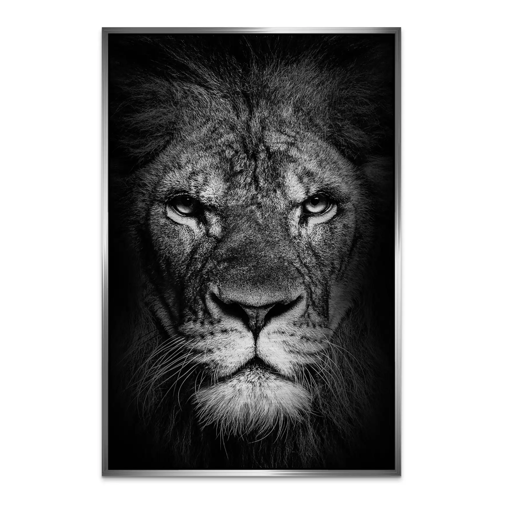 Lion Head AluDibond Gebürstet INGALERIE